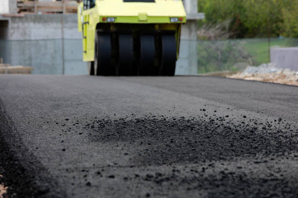 Best Professional Driveway Pavers  in Sedro Woolley, WA